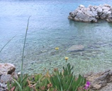 Beach in the campsite