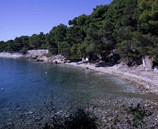 Beach_in_the_campsite