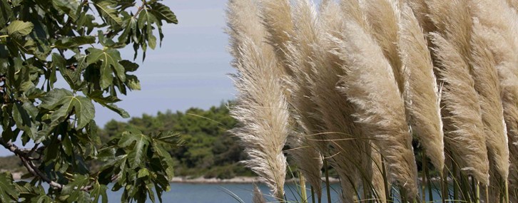 Activities and excursions