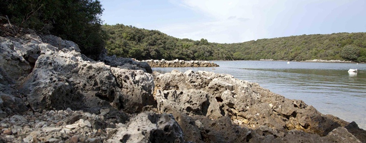 Campeggio Baldarin – un'oasi di pace per campeggiare all'insegna del naturismo