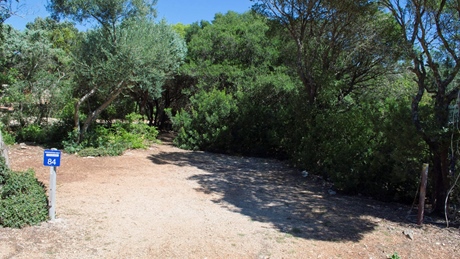 Campingplaats met bord nummer 84 omgeven door weelderige groene natuur