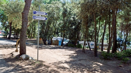 Campingplaats met bomen en borden die naar Premium en Mobiele Huizen wijzen