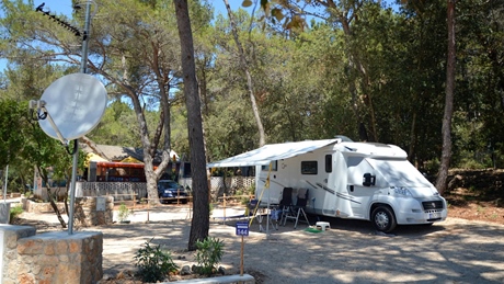 Een camper geparkeerd op een schilderachtige, bosrijke camping