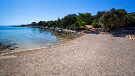 Serene beach with clear blue water and lush greenery