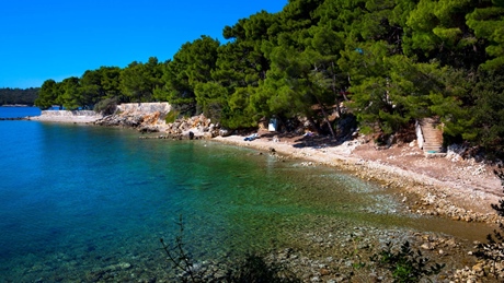 Scenic view of a rocky coastline with clear blue water and lush green trees