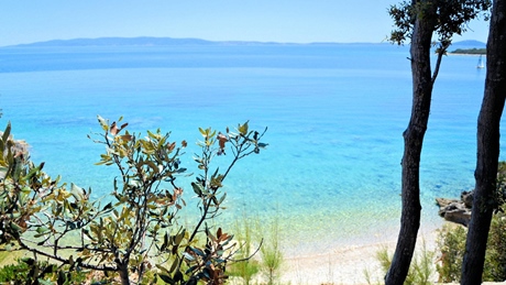 Scenic view of a calm, clear blue sea with distant mountains and trees in the foreground
