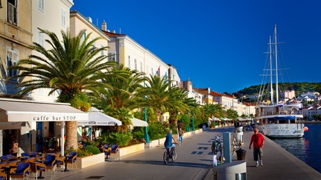 Scenic view of the waterfront promenade in Mali Losinj with palm trees and cafes