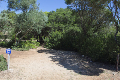 A campsite surrounded by trees with a sign showing the number 84