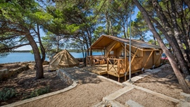 Tenda e cabina di legno a Baldarin circondate da alberi vicino all