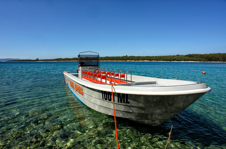 Tour boat named 100 ML docked in clear blue waters with a natural shoreline in the background