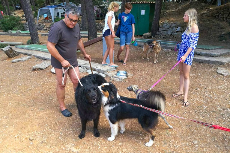 A group of people walking dogs on leashes in a park